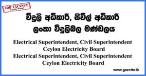 Ceylon-Electricity-Board-Vacancies