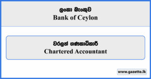 Chartered Accountant - Bank of Ceylon Vacancies 2025