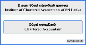 Chartered Accountants - Institute of Chartered Accountants of Sri Lanka Vacancies 2024