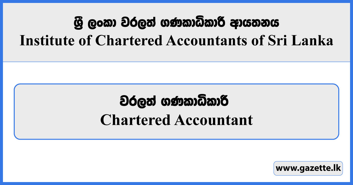 Chartered Accountants - Institute of Chartered Accountants of Sri Lanka Vacancies 2024