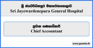 Chief Accountant - Sri Jayewardenepura General Hospital Vacancies 2024