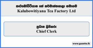 Chief Clerk - Kalubowitiyana Tea Factory Limited Vacancies 2026
