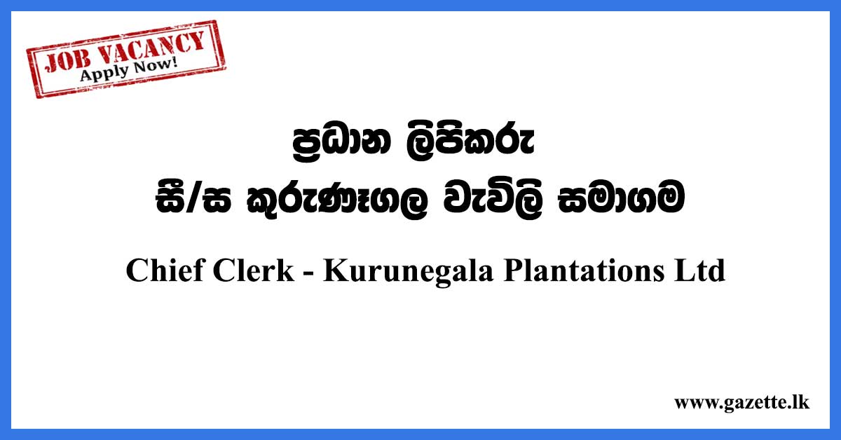 Chief-Clerk---Kurunegala-Plantations-Ltd