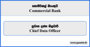 Chief Data Officer - Commercial Bank Vacancies 2026