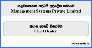 Chief Dealer - Management Systems Private Limited Vacancies 2024