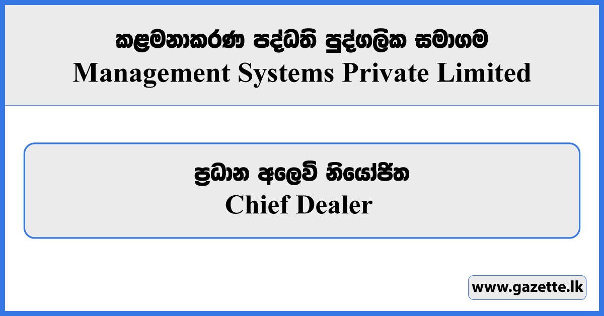 Chief Dealer - Management Systems Private Limited Vacancies 2024