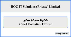 Chief Executive Officer - BOC IT Solutions (Private) Limited Vacancies 2025