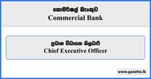 Chief Executive Officer - Commercial Bank Vacancies 2024