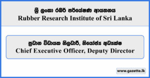 Chief Executive Officer, Deputy Director - Coconut Research Institute 2026
