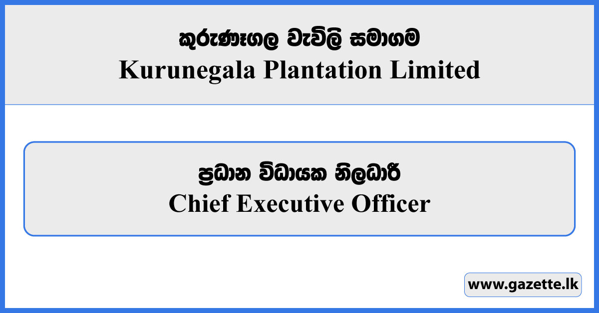 Chief Executive Officer - Kurunegala Plantation Limited Vacancies 2025