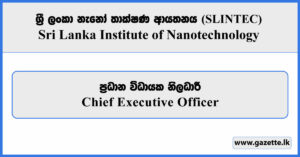 Chief Executive Officer - Sri Lanka Institute of Nanotechnology (SLINTEC) Vacancies 2025