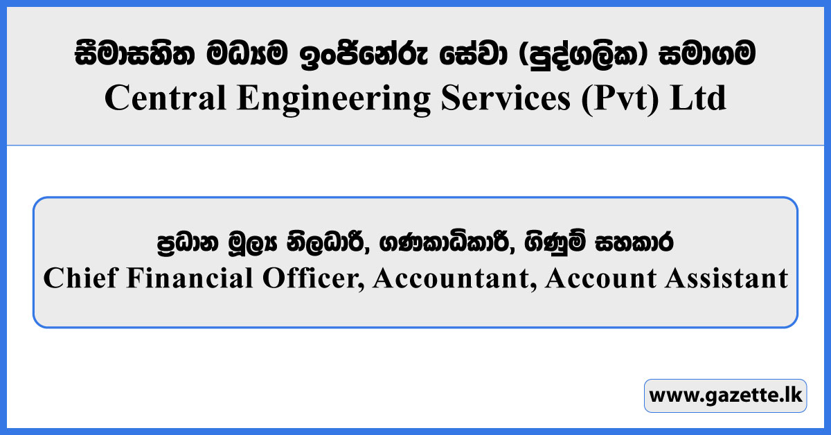 Chief Financial Officer, Accountant, Account Assistant - Central Engineering Services (Pvt) Ltd Vacancies 2025