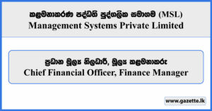 Chief Financial Officer, Finance Manager - Management Systems Private Limited Vacancies 2026