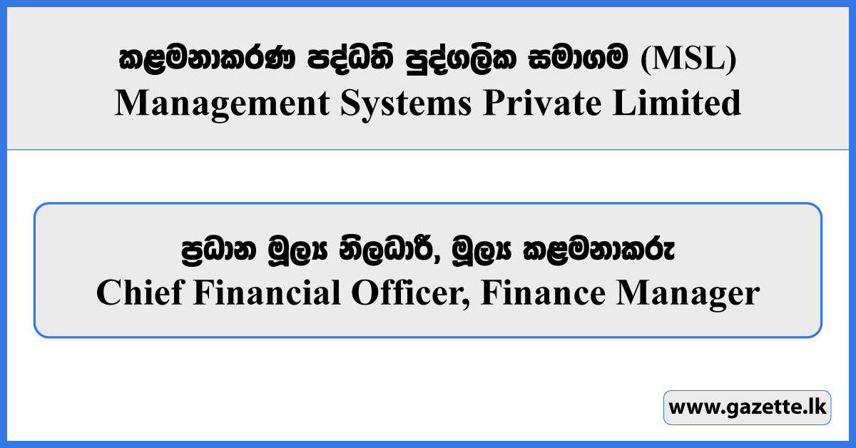 Chief Financial Officer, Finance Manager - Management Systems Private Limited Vacancies 2026