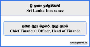 Chief Financial Officer, Head of Finance - Sri Lanka Insurance Vacancies 2024
