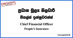 Chief Financial Officer - People's Insurance Vacancies