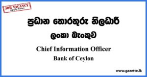 Chief Information Officer - BOC Job Vacancies 2023
