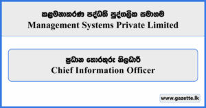 Chief Information Officer - Management Systems Private Limited Vacancies 2025