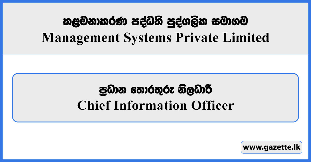 Chief Information Officer - Management Systems Private Limited Vacancies 2025
