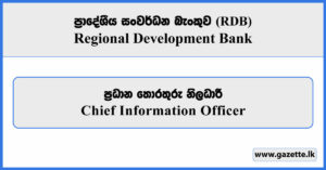 Chief Information Officer - Regional Development Bank (RDB) Vacancies 2026