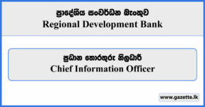 Chief Information Officer - Regional Development Bank Vacancies 2024