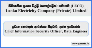 Chief Information Security Officer, Data Engineer - LECO Vacancies 2026