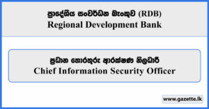 Chief Information Security Officer - RDB Vacancies 2025