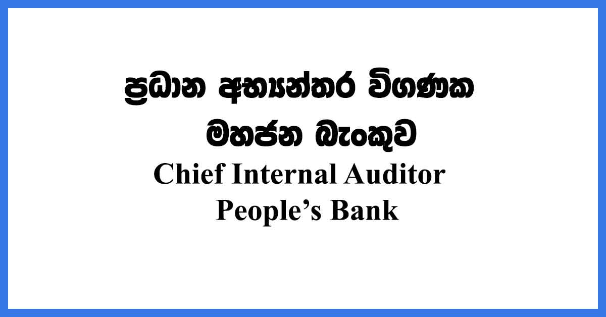 Chief-Internal-Auditor