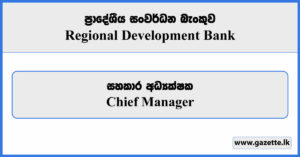 Chief Manager - Regional Development Bank Vacancies 2024