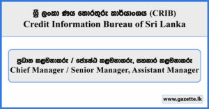 Chief Manager / Senior Manager, Assistant Manager - Credit Information Bureau of Sri Lanka Vacancies 2026