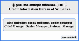Chief Manager / Senior Manager, Assistant Manager - Credit Information Bureau of Sri Lanka Vacancies 2025