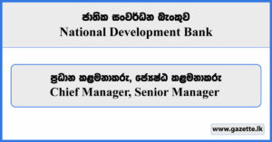 Chief Manager, Senior Manager - National Development Bank Vacancies 2024