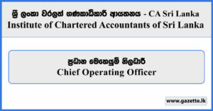 Chief Operating Officer - CA Sri Lanka Vacancies 2025