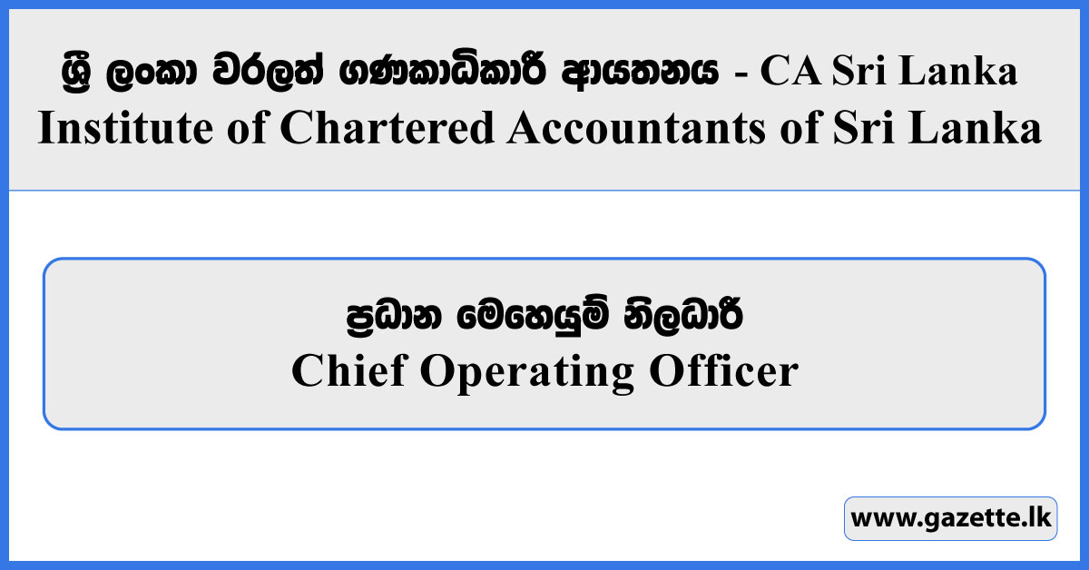 Chief Operating Officer - CA Sri Lanka Vacancies 2025