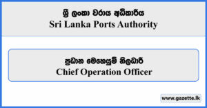 Chief Operation Officer - Sri Lanka Ports Authority Vacancies 2024
