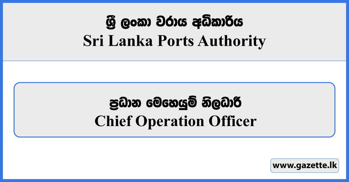 Chief Operation Officer - Sri Lanka Ports Authority Vacancies 2024