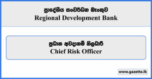 Chief Risk Officer - Regional Development Bank Vacancies 2025