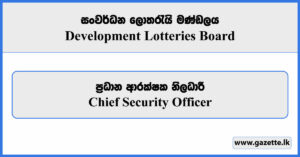 Chief Security Officer - Development Lotteries Board Vacancies 2025