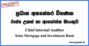 Chief internal Auditor Vacancies