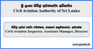 Civil Aviation Inspector, Assistant Manager, Director - Civil Aviation Authority Vacancies 2026