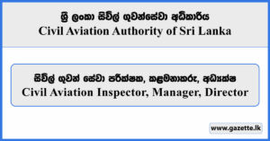 Civil Aviation Inspector, Manager, Director - Civil Aviation Authority Vacancies 2026