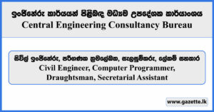 Civil Engineer, Computer Programmer, Draughtsman, Secretarial Assistant - Central Engineering Consultancy Bureau Vacancies 2026