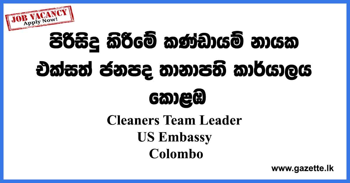 Cleaners-Team-Leader