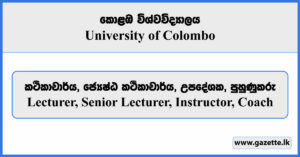 Lecturer, Senior Lecturer, Instructor, Coach - University of Colombo Vacancies 2025