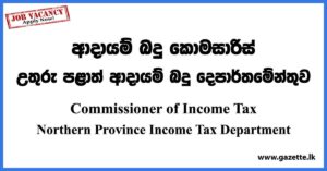 Commissioner of Income Tax - Northern Province Income Tax Department Vacancies 2023