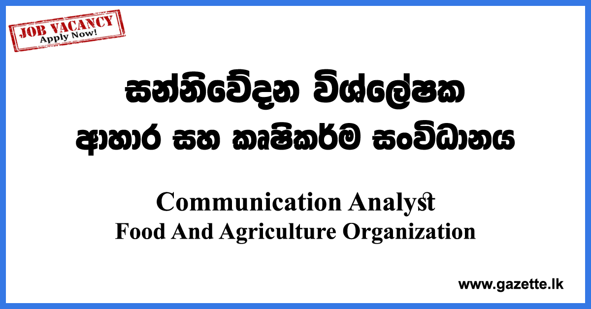 Communication-Analyst-FAO-UN-www.gazette.lk