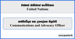 Communications and Advocacy Officer - UN Women Vacancies 2025