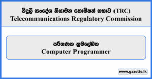 Computer Programmer - Telecommunications Regulatory Commission Vacancies 2026