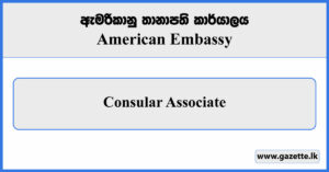Consular Associate - American Embassy Vacancies 2023