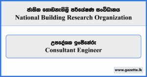 Consultant Engineer - National Building Research Organisation Vacancies 2025